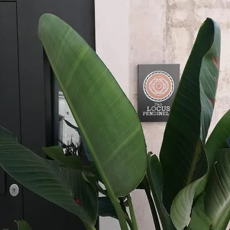Locus Pendinelli * Trani