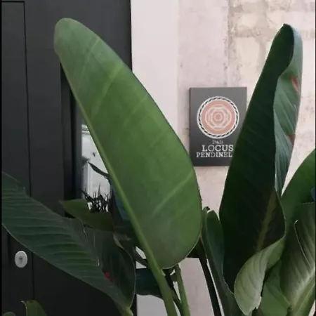Locus Pendinelli 4*